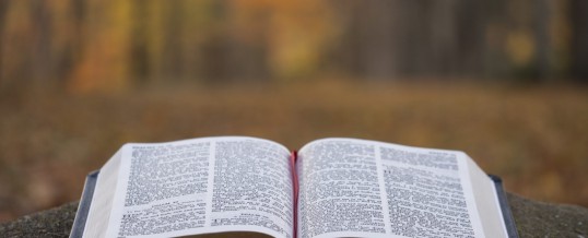 Czy historie z Biblii zdarzają się dziś?
